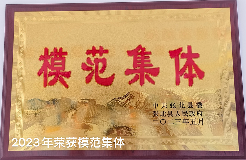 模范集体.jpg